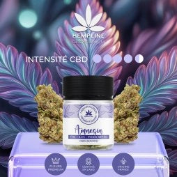 AMNÉSIA FLEUR DE CBD (5G) - HEMPLINE