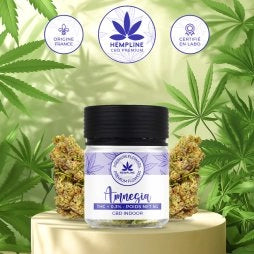 AMNÉSIA FLEUR DE CBD (5G) - HEMPLINE