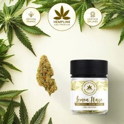LEMON HAZE – FLEUR DE CBD (5G) – HEMPLINE