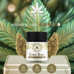 LEMON HAZE – FLEUR DE CBD (5G) – HEMPLINE