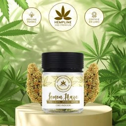 LEMON HAZE – FLEUR DE CBD (5G) – HEMPLINE