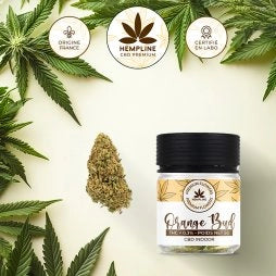 ORANGE BUDS FLEUR DE CBD (5G) - HEMPLINE