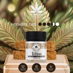 KETAMA RÉSINE (10G) - HEMPLINE