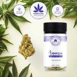 AMNÉSIA FLEUR DE CBD (12G) - HEMPLINE