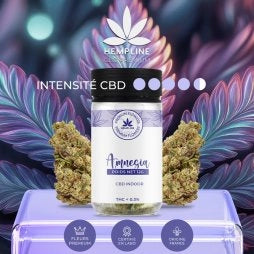 AMNÉSIA FLEUR DE CBD (12G) - HEMPLINE