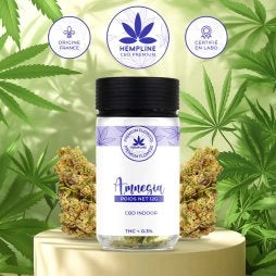 AMNÉSIA FLEUR DE CBD (12G) - HEMPLINE