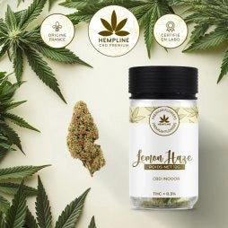 LEMON HAZE FLEUR DE CBD (12G) - HEMPLINE
