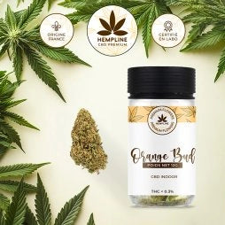 ORANGE BUDS FLEUR DE CBD (12G) - HEMPLINE
