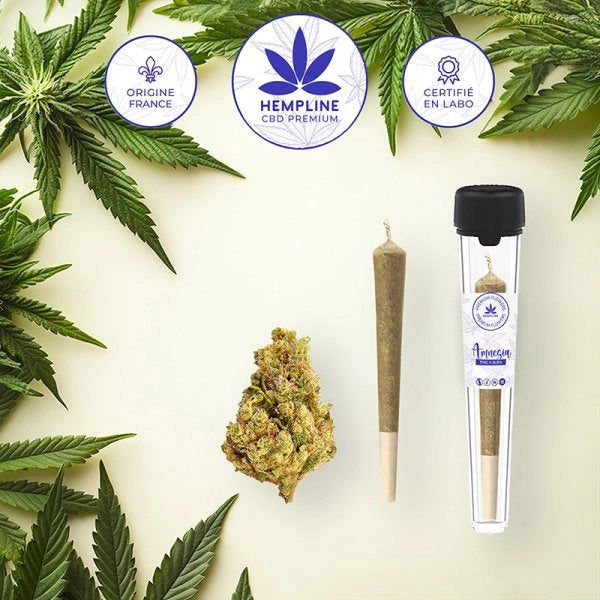 AMNESIA PRE-ROLL (1G) - HEMPLINE
