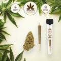 ORANGE BUDS PRE-ROLL (1G) - HEMPLINE
